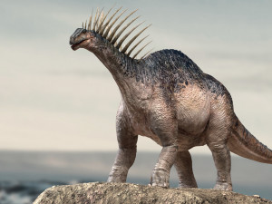 amargasaurus 3d rigged model Model 3D
