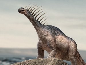 amargasaurus 3d rigged model Model 3D