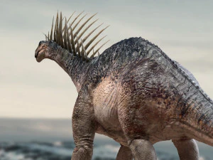 amargasaurus 3d rigged model 3D Model