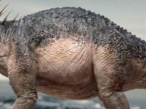 amargasaurus 3d rigged model Model 3D