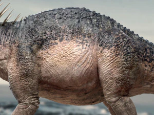 amargasaurus 3d rigged model 3D Model
