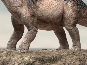 amargasaurus 3d rigged model 3D Model