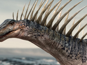 amargasaurus 3d rigged model Model 3D