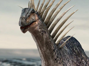 amargasaurus 3d rigged model 3D Model