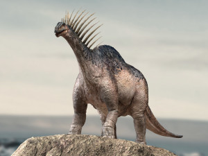 amargasaurus 3d rigged model Model 3D