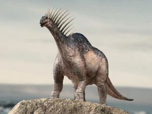amargasaurus 3d rigged model 3D Model