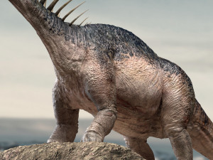 amargasaurus 3d rigged model Model 3D