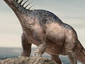 amargasaurus 3d rigged model 3D Model