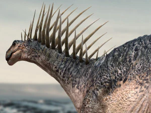 amargasaurus 3d rigged model 3D Model