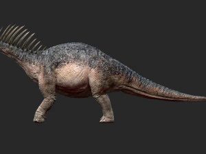 amargasaurus 3d rigged model 3D Model