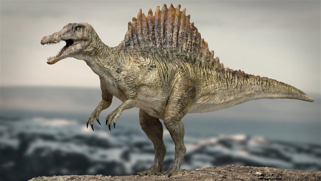 spinosaurus rigged 3D 模型 .c4d .max .obj .3ds .fbx .stl .blend 