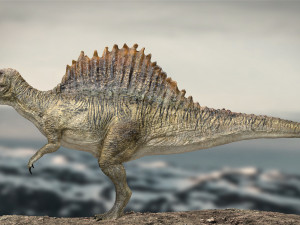 spinosaurus rigged 3D 模型