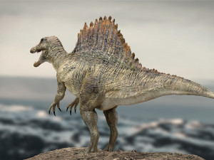 spinosaurus rigged 3D 模型