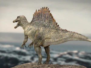 spinosaurus rigged 3D Model
