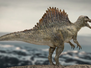 spinosaurus rigged 3D 模型