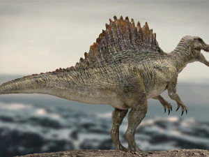 spinosaurus rigged 3D Model