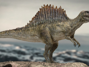 spinosaurus rigged 3D 模型