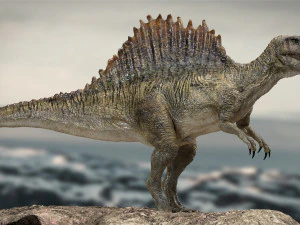 spinosaurus rigged 3D Model