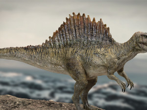 spinosaurus rigged 3D 模型