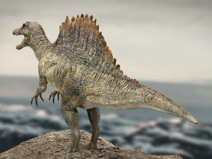 spinosaurus rigged 3D 模型