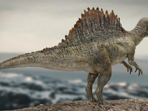 spinosaurus rigged 3D Model
