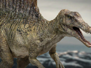 spinosaurus rigged 3D Model