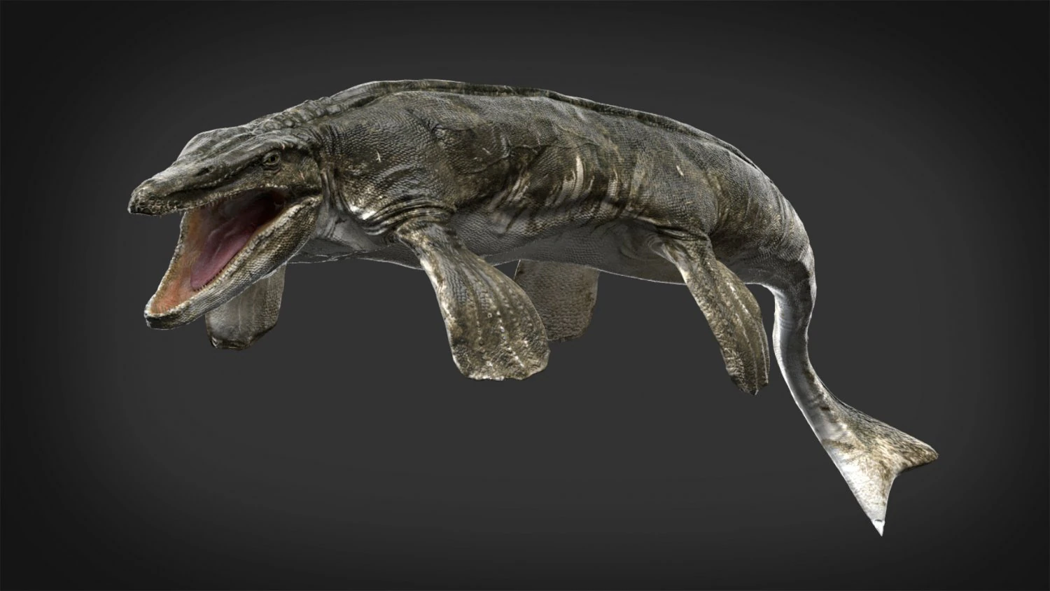 tylosaurus rigged 3D Model .c4d .max .obj .3ds .fbx .stl .blend 