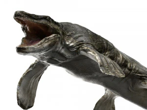 tylosaurus rigged 3D Model