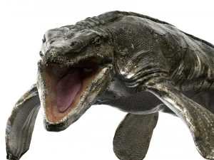 tylosaurus rigged 3D Model