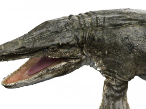 tylosaurus rigged 3D Model