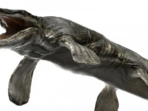 tylosaurus rigged 3D Model