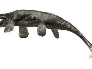 tylosaurus rigged 3D Model