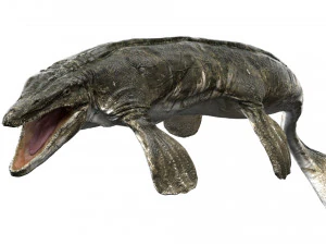tylosaurus rigged 3D Model