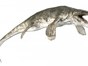 tylosaurus rigged 3D Model