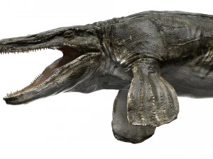 tylosaurus rigged 3D Model