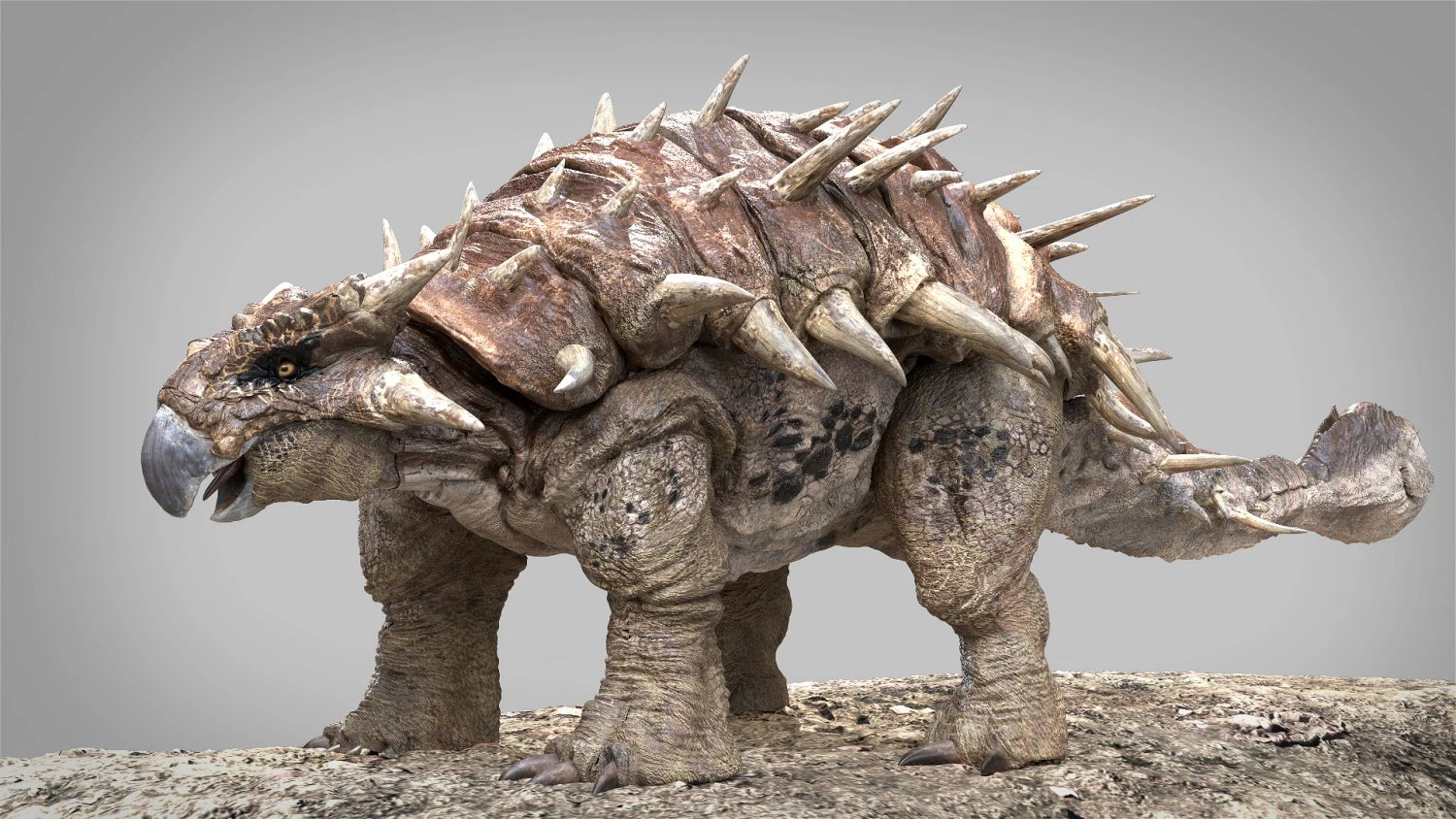 Ankylosaurus rigged 3D Model .c4d .max .obj .3ds .fbx .stl .blend 