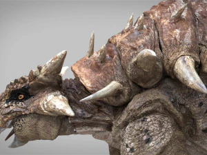 Ankylosaurus rigged 3D Model