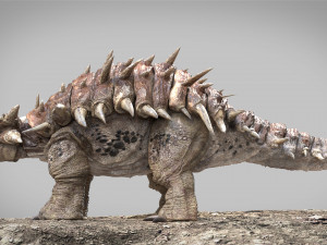 Ankylosaurus rigged Model 3D