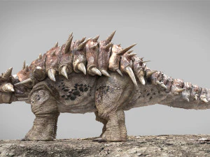 Ankylosaurus rigged 3D Model