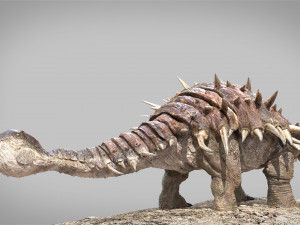 Ankylosaurus rigged Model 3D