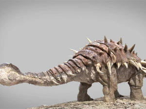 Ankylosaurus rigged 3D Model