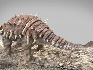 Ankylosaurus rigged Model 3D