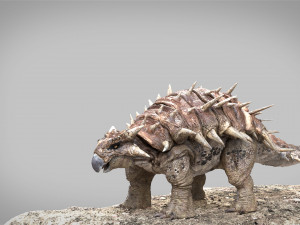 Ankylosaurus rigged Model 3D