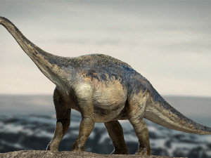 argentinosaurus rigged 3D Model