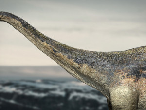 argentinosaurus rigged 3D Model