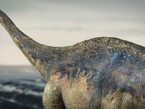 argentinosaurus rigged 3D Model