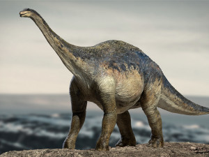 argentinosaurus rigged 3D Model