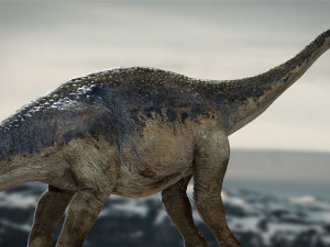 argentinosaurus rigged 3D Model