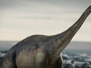 argentinosaurus rigged 3D Model