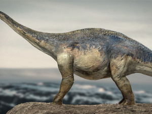 argentinosaurus rigged 3D Model